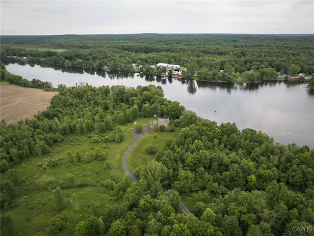 21751 Hewitt Dr, Champion, NY 13619 - bird's eye view of a heavily wooded area and a large body of water