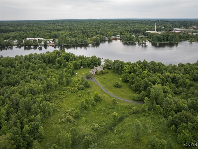 21751 Hewitt Dr, Champion, NY 13619 - bird's eye view of a large body of water and a heavily wooded area