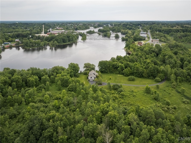 21751 Hewitt Dr, Champion, NY 13619 - bird's eye view of a large body of water and a heavily wooded area