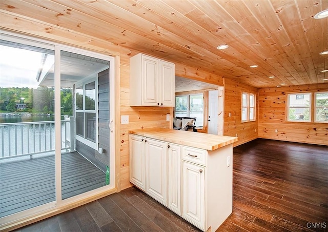 5345 Paddleford Rd, Eaton, NY 13334 - kitchen featuring dark wood-style floors, wood walls, a peninsula, open floor plan, and white cabinets