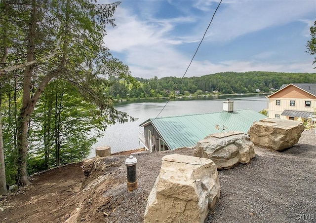 5345 Paddleford Rd, Eaton, NY 13334 - water view featuring a forest