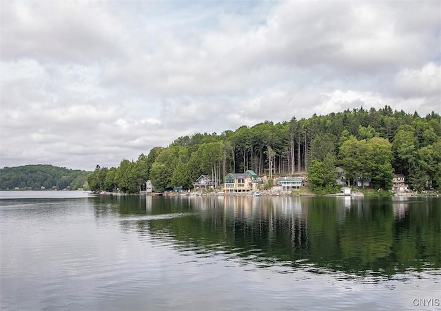 5345 Paddleford Rd, Eaton, NY 13334 - water view featuring a heavily wooded area