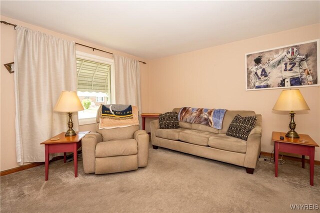 241 Shanley St, Cheektowaga, NY 14206 - living room with carpet floors