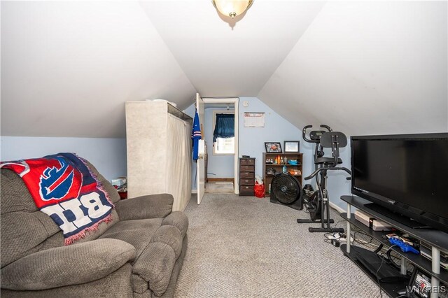 241 Shanley St, Cheektowaga, NY 14206 - bonus room with carpet floors and vaulted ceiling