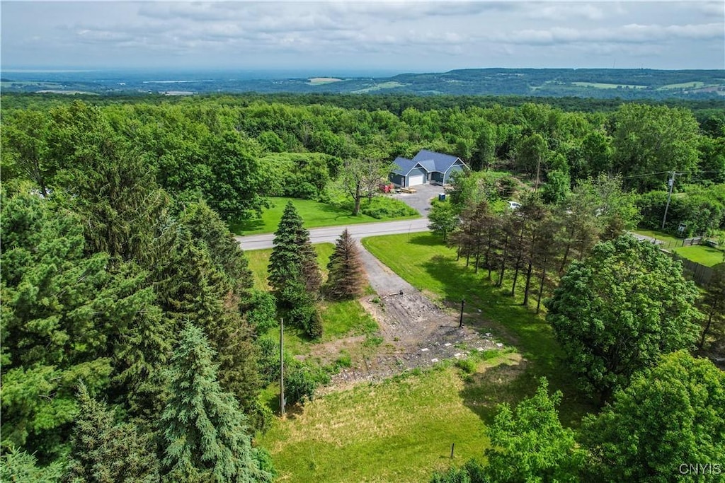 4460 Whitman Rd, Lincoln, NY 13032 - photo 1