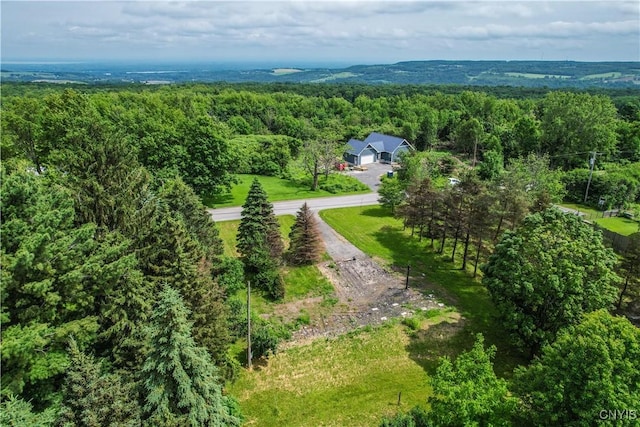 4460 Whitman Rd, Lincoln, NY 13032