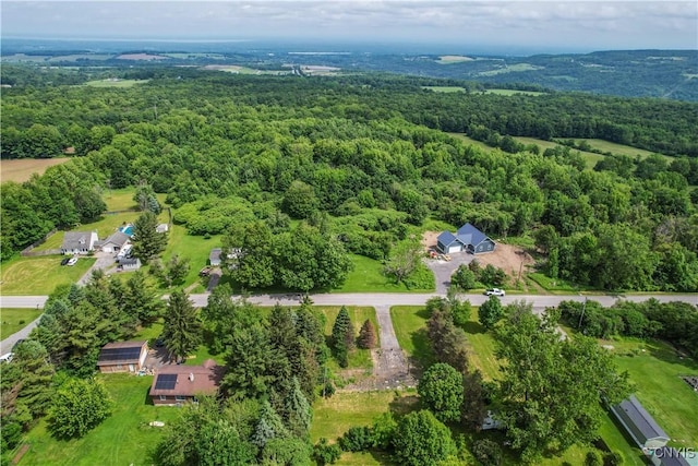 4460 Whitman Rd, Lincoln, NY 13032