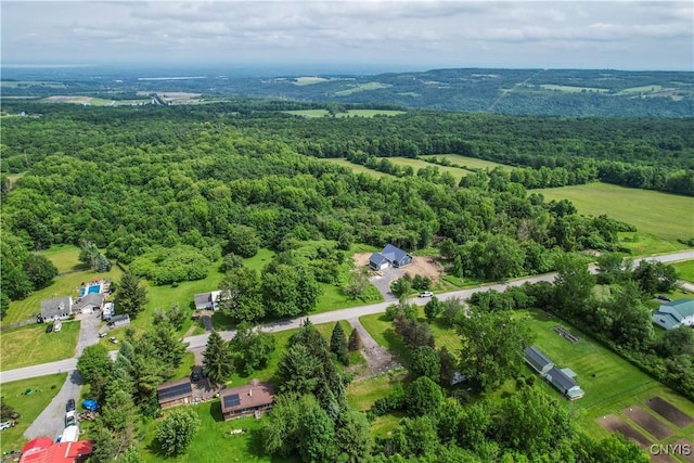 4460 Whitman Rd, Lincoln, NY 13032