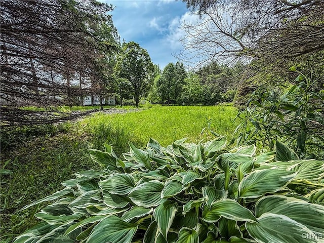 4460 Whitman Rd, Lincoln, NY 13032