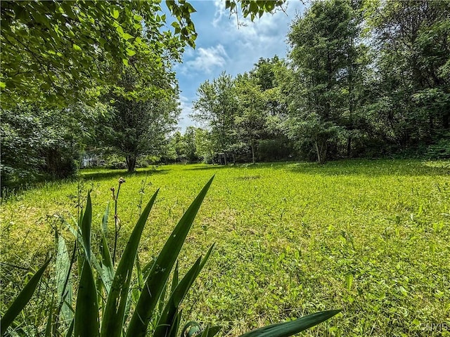 4460 Whitman Rd, Lincoln, NY 13032