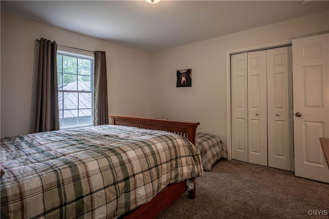 142 S Shore Rd, Webb, NY 13420 - bedroom with carpet flooring and a closet