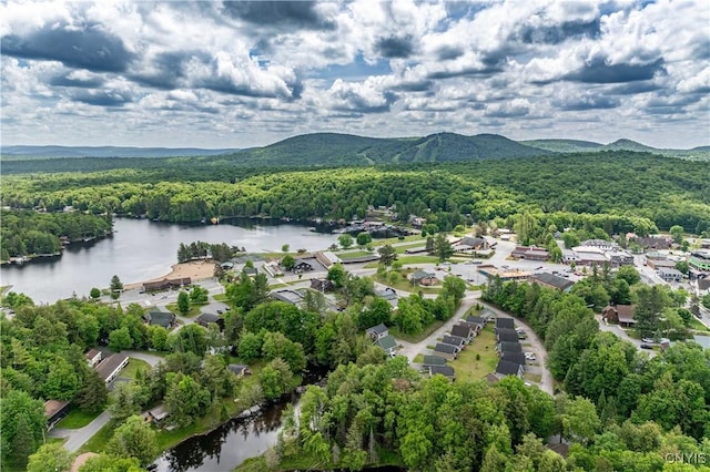 142 S Shore Rd, Webb, NY 13420 - aerial view of a forest and a water and mountain view