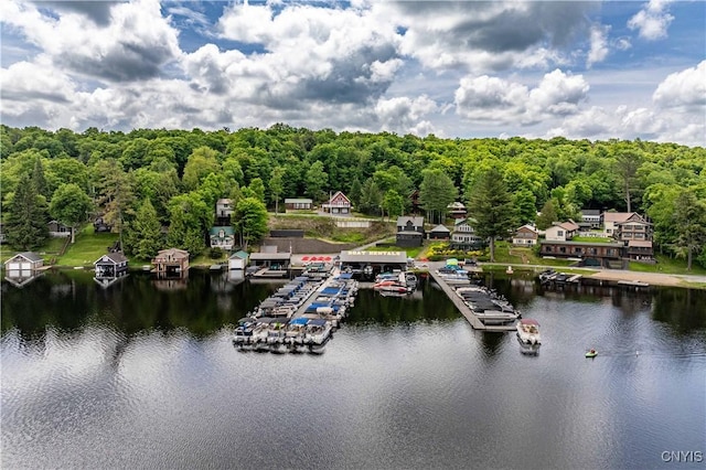 142 S Shore Rd, Webb, NY 13420 - bird's eye view of a nearby body of water and a forest