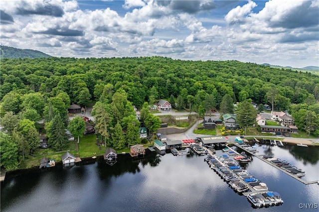 142 S Shore Rd, Webb, NY 13420 - bird's eye view of a heavily wooded area and a large body of water