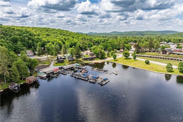 142 S Shore Rd, Webb, NY 13420 - bird's eye view of a large body of water and a forest