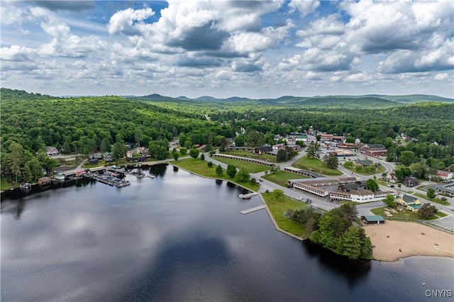 142 S Shore Rd, Webb, NY 13420 - drone / aerial view of a heavily wooded area and a water and mountain view