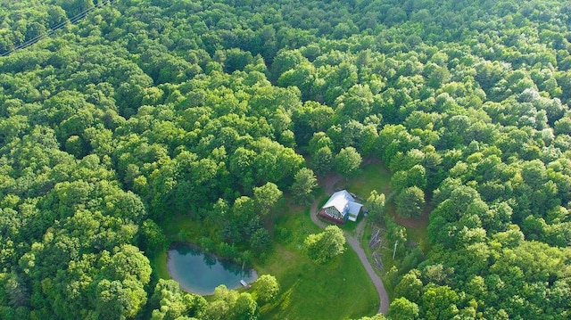 4191 Pine Swamp Rd, Sidney, NY 13839 - photo 21