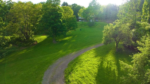 4191 Pine Swamp Rd, Sidney, NY 13839 - photo 17