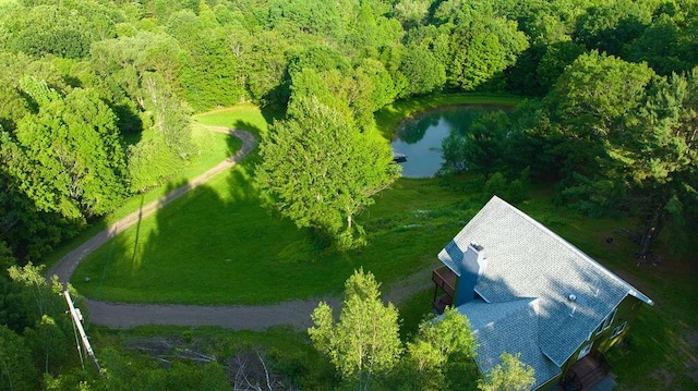 4191 Pine Swamp Rd, Sidney, NY 13839 - photo 18