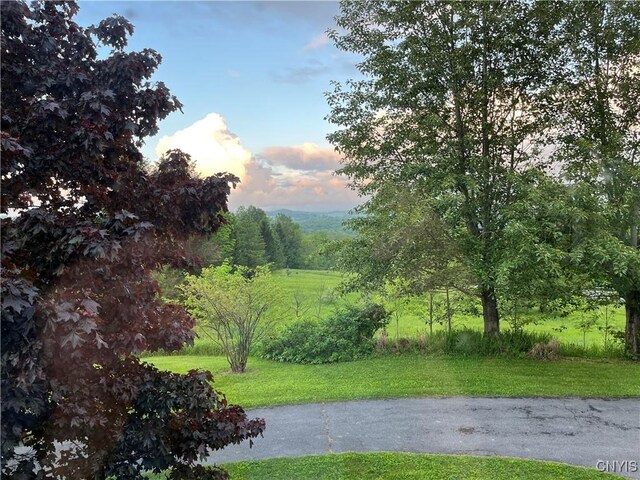 847 Jordanville Rd, Columbia, NY 13357 - photo 38