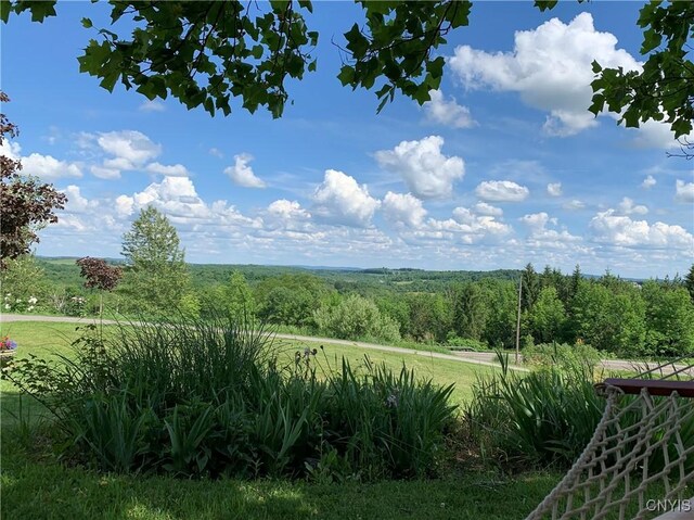 847 Jordanville Rd, Columbia, NY 13357 - photo 41