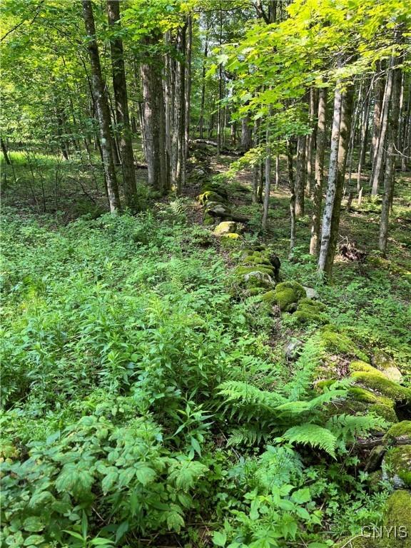 847 Jordanville Rd, Columbia, NY 13357 - photo 46