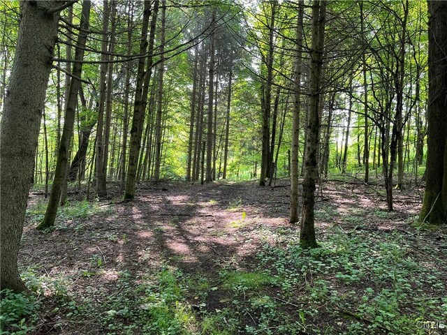 847 Jordanville Rd, Columbia, NY 13357 - photo 48