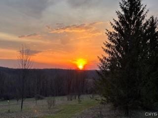 847 Jordanville Rd, Columbia, NY 13357 - photo 49