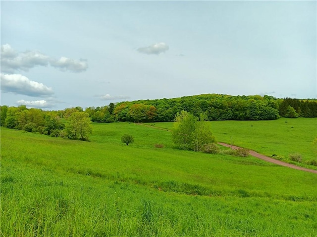 LOT1 Kiff Brook Rd, Kortright, NY 13739