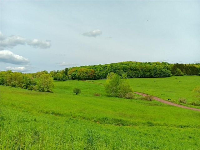 LOT1 Kiff Brook Rd, Kortright, NY 13739
