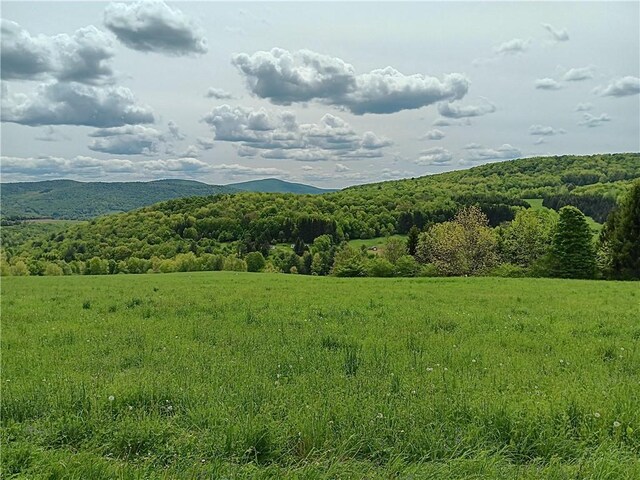 John Rice Rd, Kortright, NY 13739 - photo 1