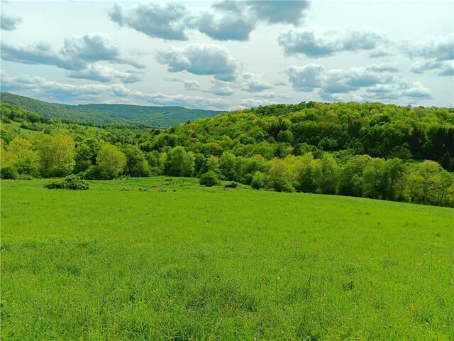 John Rice Rd, Kortright, NY 13739 - photo 2