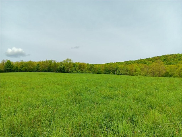 John Rice Rd, Kortright, NY 13739 - photo 3