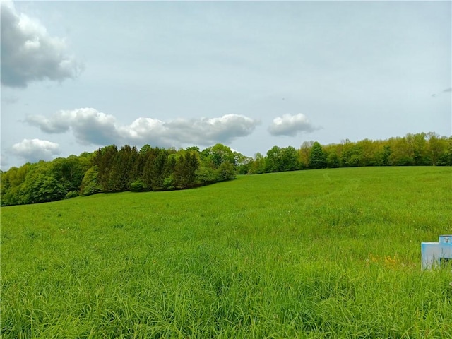 John Rice Rd, Kortright, NY 13739 - photo 4