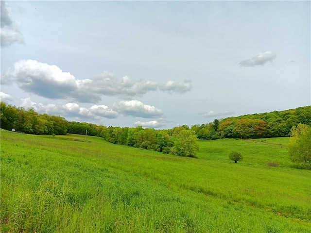 John Rice Rd, Kortright, NY 13739 - photo 5