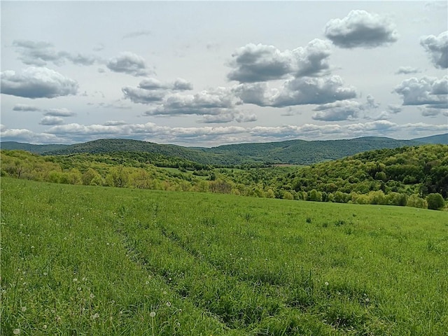 John Rice Rd, Kortright, NY 13739 - photo 6