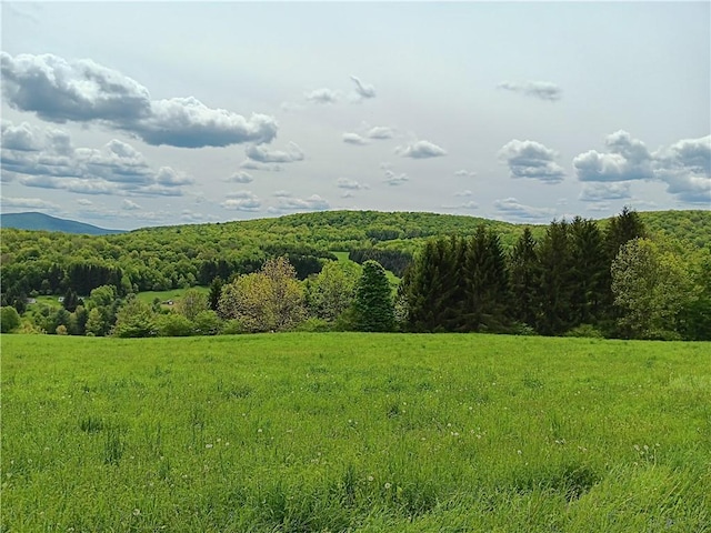 John Rice Rd, Kortright, NY 13739 - photo 7