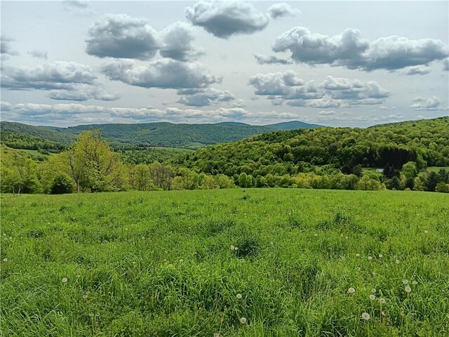 John Rice Rd, Kortright, NY 13739 - photo 8