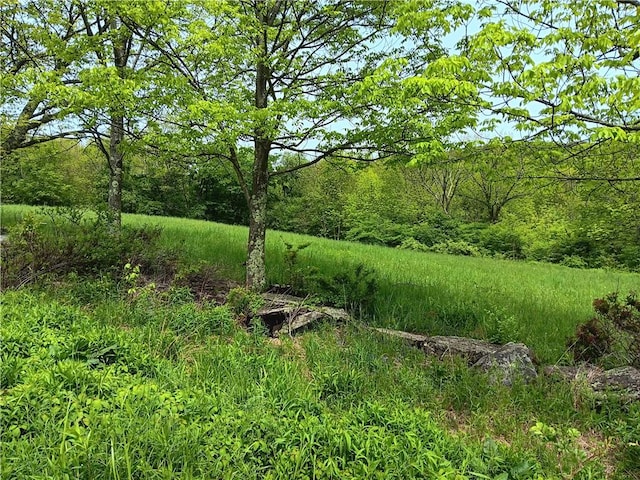 John Rice Rd, Kortright, NY 13739 - photo 9
