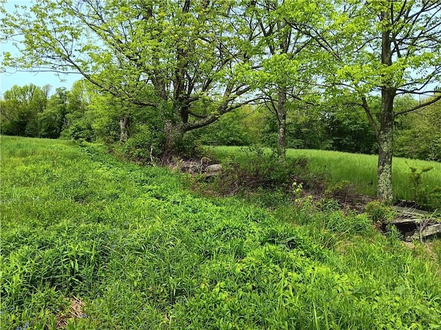 John Rice Rd, Kortright, NY 13739 - photo 10