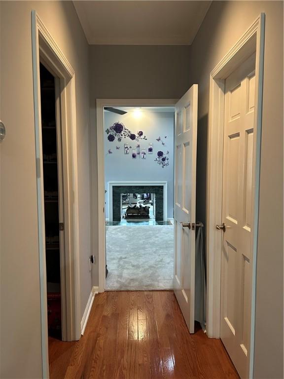 38 Hemlock Ln, Erwin, NY 14870 - hall with wood finished floors and baseboards