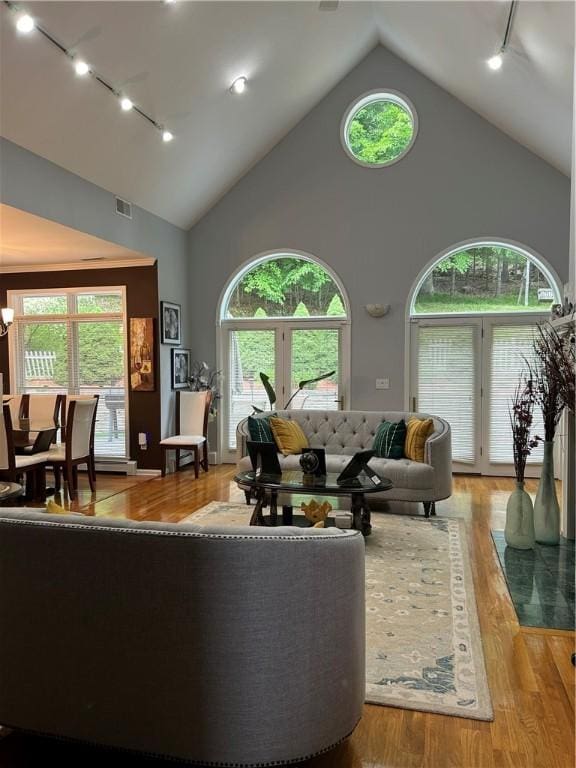 38 Hemlock Ln, Erwin, NY 14870 - living room with track lighting, high vaulted ceiling, wood finished floors, and a chandelier
