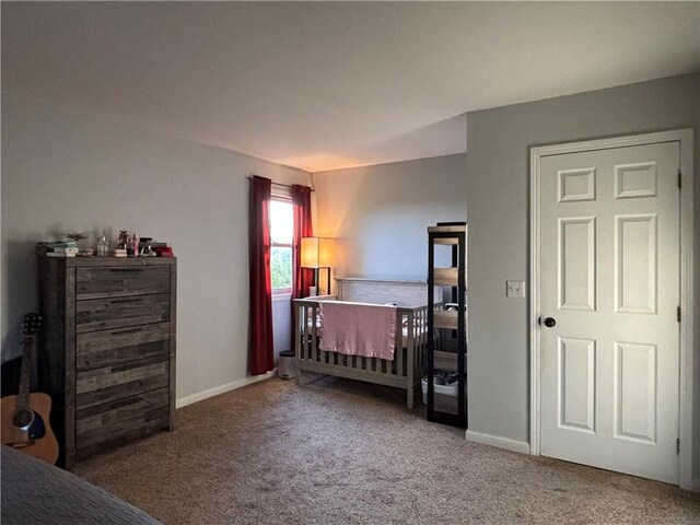 6 Barrington Rd, Horseheads, NY 14845 - photo 13