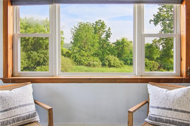 9 Jacob Dr, Erwin, NY 14870 - view of living area