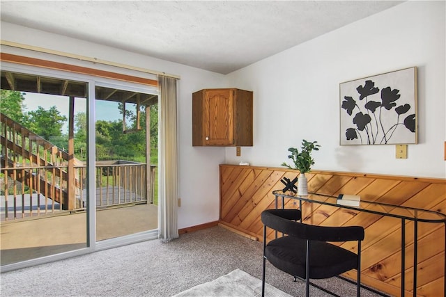 9 Jacob Dr, Erwin, NY 14870 - carpeted home office with baseboards