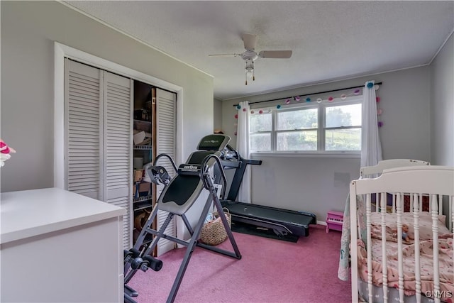 10256 State Route 26, Denmark, NY 13367 - exercise area featuring carpet and ceiling fan