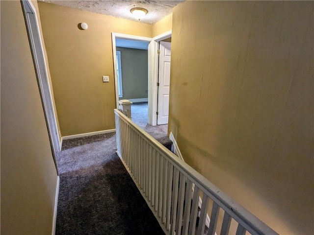 354 Euclid Ave, Elmira City, NY 14905 - hall featuring carpet floors and a textured ceiling