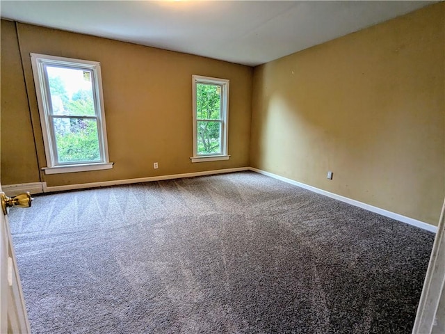 354 Euclid Ave, Elmira City, NY 14905 - carpeted empty room with healthy amount of natural light