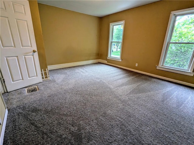 354 Euclid Ave, Elmira City, NY 14905 - carpeted empty room featuring plenty of natural light