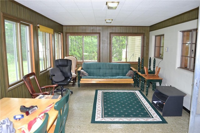 229 Everclay Dr, Greece, NY 14616 - sunroom with healthy amount of natural light and wood walls